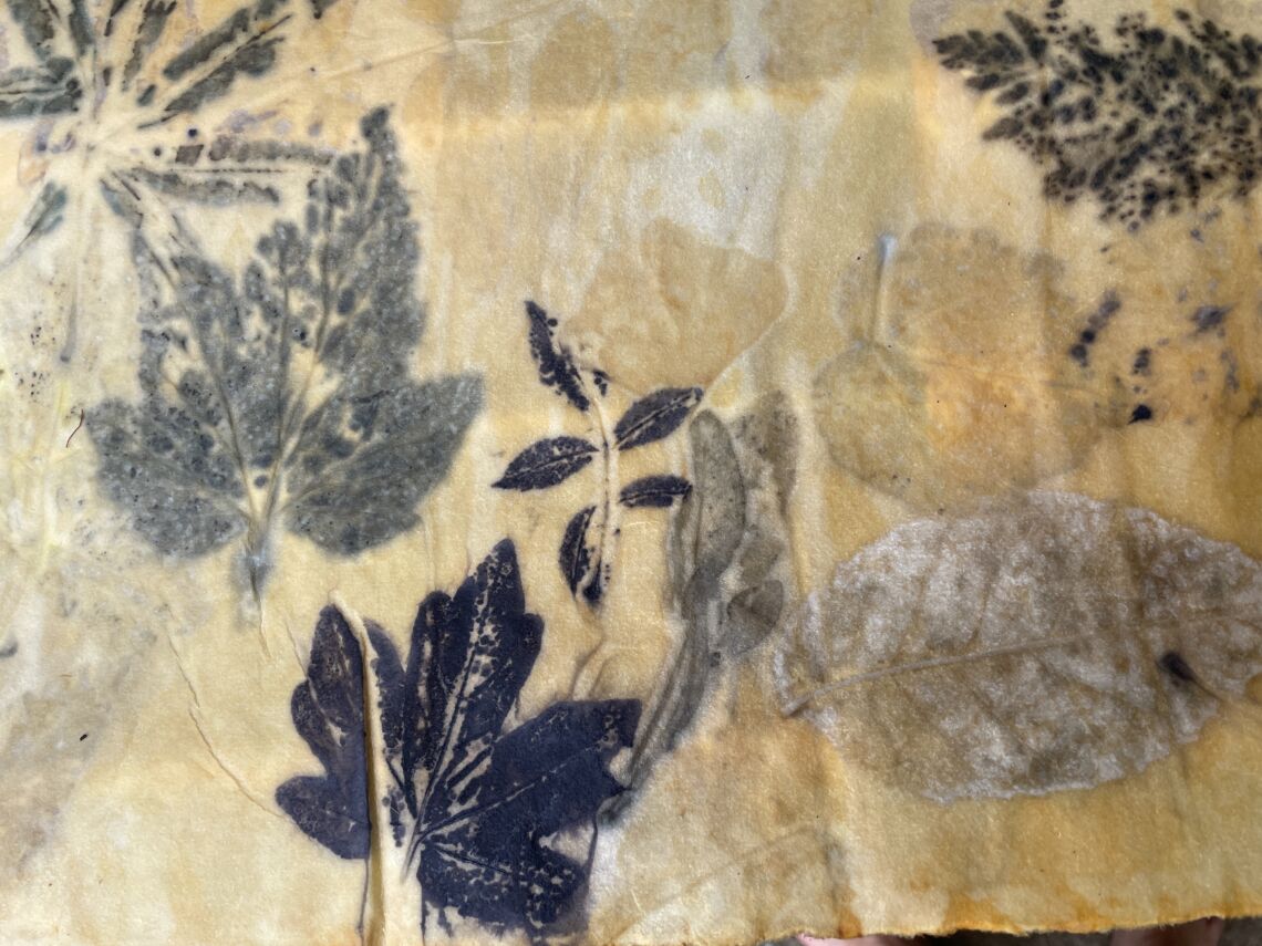 ecoprinting13
