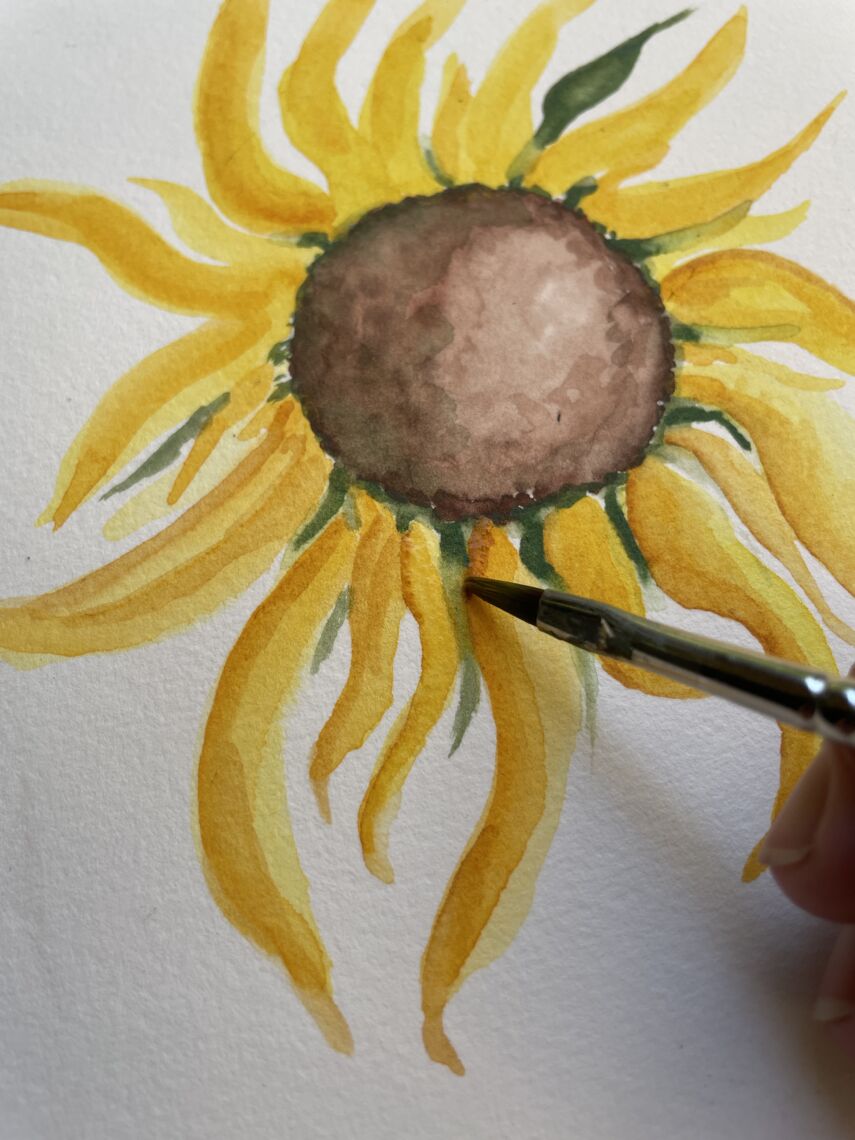 sonnenblume9