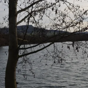 wildniskurs-20