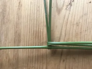 Um die Mitte der Binse wird eine geknickte Binse gelegt und dann ein Viertel nach links gedreht&hellip;
