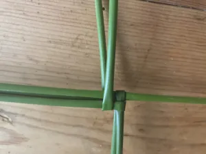 &hellip;und die n&auml;chste Binse angelegt