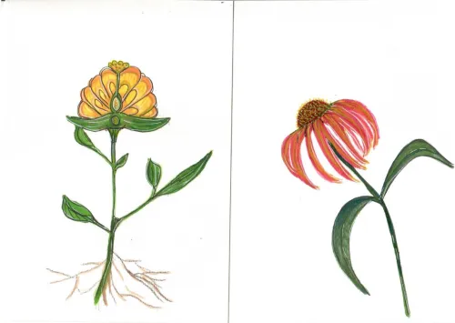 blumen